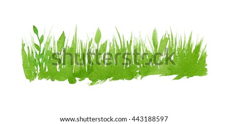 Vector green watercolor natural, organic, bio, eco label and shape, grass on white background. Hand drawn stain.