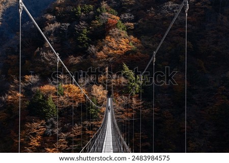 Similar – Image, Stock Photo suspension bridge