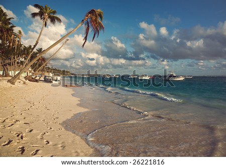 Line of beach with palm trees and sandy trails and yachts in the ocean