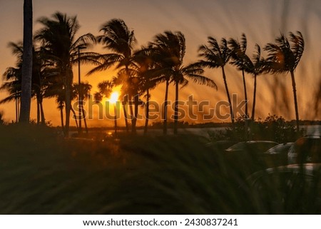 Similar – Image, Stock Photo siesta Summer Calm