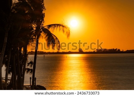 Similar – Image, Stock Photo siesta Summer Calm