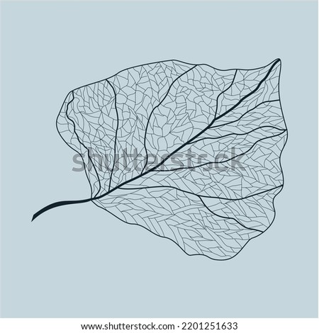 leaf of a tree illustration