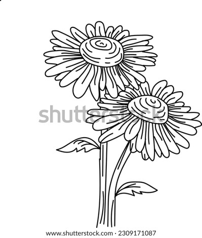 Hand drawn flower illustration line art
