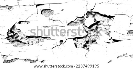 Grunge background is a black and white texture of old paint that is peeling off a wooden board. Vector illustration