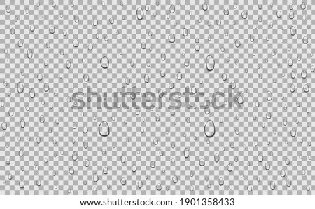 Water drops liquid on transparent background