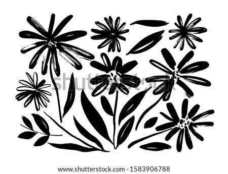 Chamomile hand drawn paint vector set. Ink drawing flowers and plants, monochrome artistic botanical illustration. Isolated floral elements, hand drawn illustration. Brush strokes silhouette.