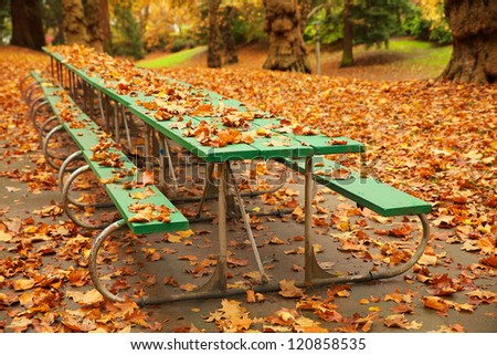 Long autumn green picnic table covered with fall leaves in a park