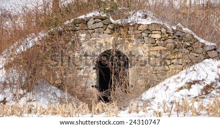 Stone shelter surrounded by barren bushes and berry plants in the winter.