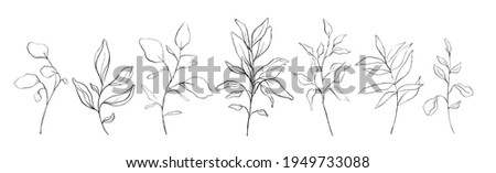 Set of botanical line art floral leaves, plants. Hand drawn sketch branches isolated on white background. Vector illustration 