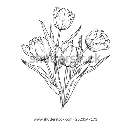 Tulip line art sketch flower. Hand drawn tulips bouquet black drawing. Abstract floral leaves. Vector illustration in outline style