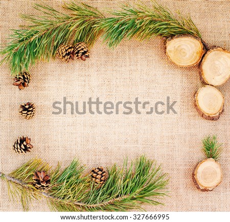 Christmas frame made of pine with cones
