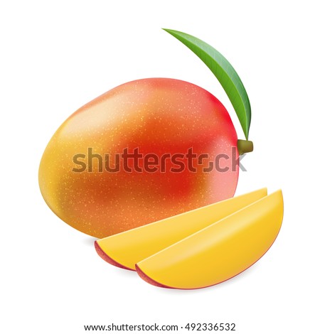Vector illustration indica mango in realistic style. Whole and two slice yellow-red-orange mango on white background.