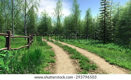 Village road passes through forest In summer time.