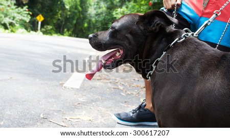 Young man with black dog running on a rural road during sunset at streets dry leaf