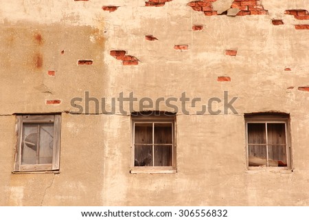 Pigeon on a window ledge