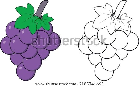 nice grape graphic vector illustration for kids coloring book, screen printing