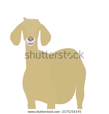 goat illustration vector. Flat color design. can used as education elements for kids. Imagine de stoc © 