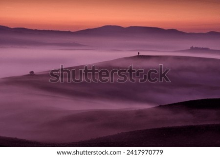 Similar – Image, Stock Photo Pitoresque tree by a misty river, somewhere between fantasy and depth psychology