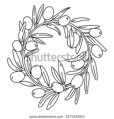 wreath of branches with olives in the outline. An isolated closed illustration. An environmentally friendly product with olive oil content. symbol of natural product. Contrasting outline for coloring