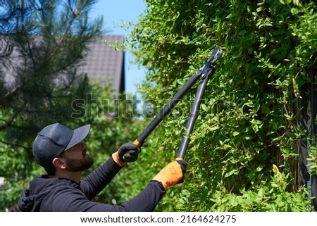 Similar – Image, Stock Photo Cut tree with barrier tape in park