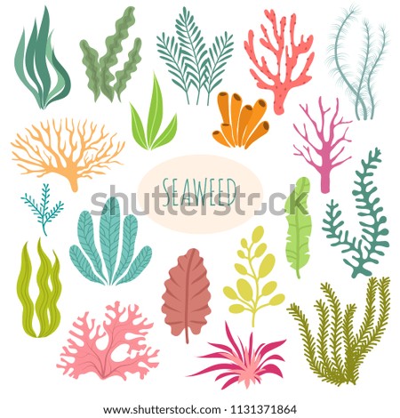 Similar – Image, Stock Photo abstract plant in aquarium