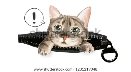 cute cat in zip pocket illustration