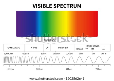 Visible light diagram. Color electromagnetic spectrum, light wave frequency. Educational school physics vector background. Illustration of spectrum diagram rainbow, infrared and electromagnetic