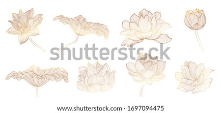 Lotus hand drawn vector set, Collection of lotus flowers for logo, luxury wedding  invitation, cover, packaging, pattern and background template.