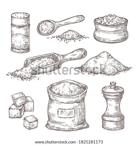 Salt sketch. Hand draw spice, vintage bowl spoon with sea salt powder. Food ingredients to cook, isolated pepper shaker vector illustration