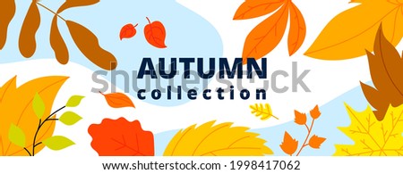 Autumn leaves banner. Isolated leaf, october fall wind and foliage. Thanksgiving or new collection, season sale utter vector abstract poster