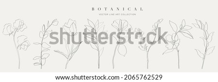 Botanical arts. Hand drawn continuous line drawing of abstract flower, floral, rose, tropical leaves, spring and autumn leaf, bouquet of olives. Vector illustration. ストックフォト © 