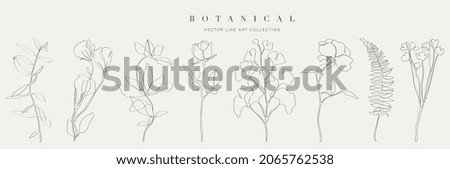 Botanical arts. Hand drawn continuous line drawing of abstract flower, floral, rose, tropical leaves, spring and autumn leaf, bouquet of olives. Vector illustration.