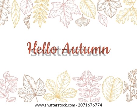 Sketch autumn leaves background. Fall leaf banner, colorful drawing foliage. Forest nature of november october botanical illustration