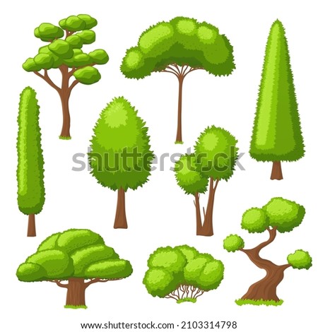 Forest tree collection. Simple trees, green environment isolated elements. Garden bushes, plants with foliage for nature landscape recent vector set