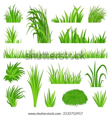 Meadow grass elements. Back yard field, organic green lawn. Weeds vegetation, decorative isolated planting objects. Natural bush, flora neoteric vector set