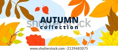 Autumn leaves banner. Isolated leaf, october fall wind and foliage. Thanksgiving or new collection, season sale utter abstract poster