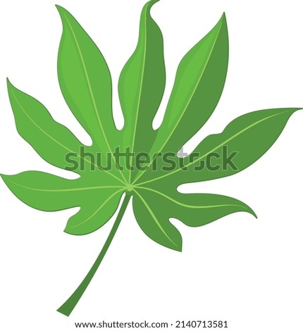 Exotic plant leaf. Tropical forest green foliage