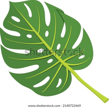 Monstera leaf. Tropical plant icon. Green foliage