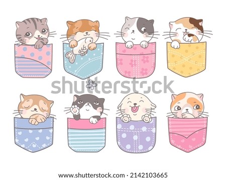 Doodle pocket cats. Kitten in pockets, happy cartoon cute cat. Fashion baby pet, adorable kittens faces. Childish mascot, kids decorative nowaday vector characters