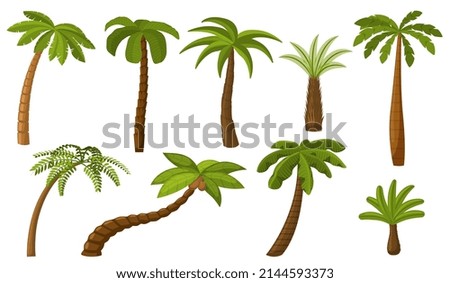 Cartoon palm tree. Summer coco palms, jungle coconut. Isolated beach plants. Tropical island green flora, seaside landscape recent elements