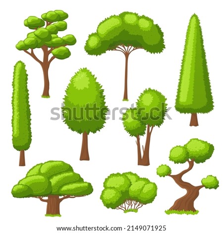 Forest tree collection. Simple trees, green environment isolated elements. Garden bushes, plants with foliage for nature landscape recent set