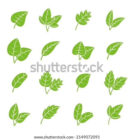 Green eco leaves. Pharmacy leaf logo, fresh tree foliage elements. Natural bio icons, isolated mint tea plants. Herbal organic recent collection