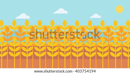 Arrière-plan du champ de blé.
