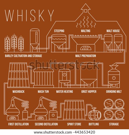 Whiskey production process vector infographic template. Whiskey process distillation illustration, whiskey production beverage in linear style