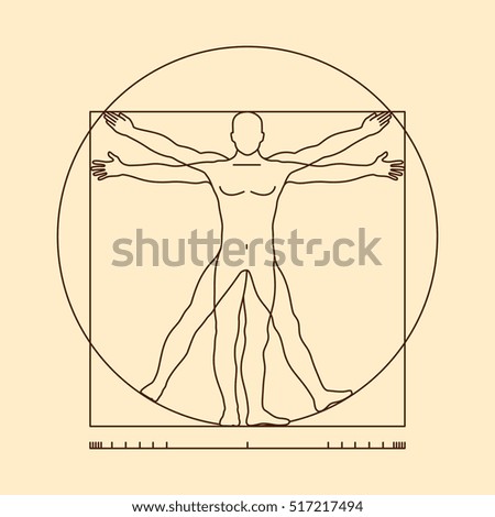 Leonardo da vinci vitruvian man form similar vector. Illustration of body man, classic proportion man