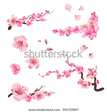 Spring sakura cherry blooming flowers, pink petals and branches vector set for your own design