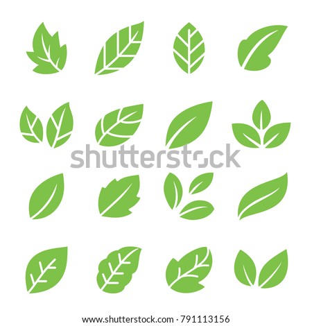 Leaves icon set.