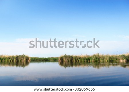 River landscape, clear blue sky, the waves on the water, river, green tourism, travel along the river, boating, summer sunny day after the storm, a harbor for ships, aquatic vegetation.