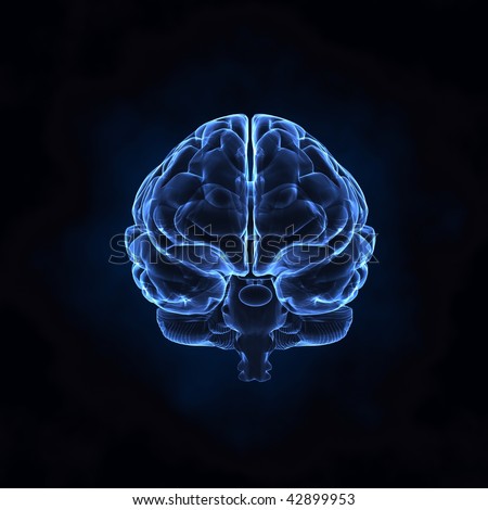 X- Ray Human Brain Front View Stock Photo 42899953 : Shutterstock