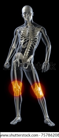 Human Knee Medical Scan